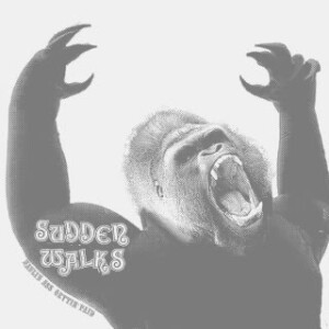 Sudden Walks - Haulin Ass Gettin Paid (ltd.350) 7"