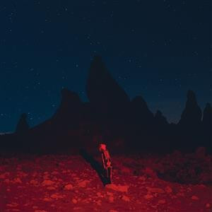 Phoebe Bridgers - Punisher lp
