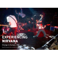 Bruce Pavitt - Experiencing Nirvana: Grunge in Europe,...