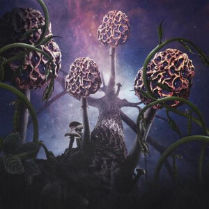 Blut aus Nord - Hallucinogen (purple/pink marbled) col 2xlp