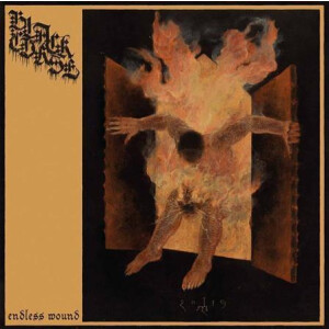 Black Curse - Endless Wound digi-cd