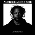 Ambrose Akinmusire - On the Tender Spot of Every...