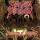 Saigan Terror - Anatomy Of Saigan - lp