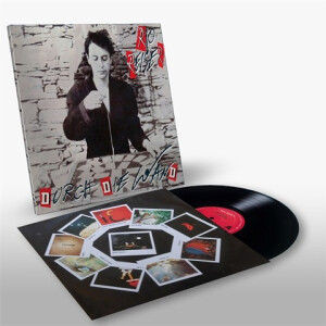 Rio Reiser - Durch die Wand - lp