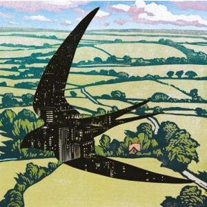 Bibio - Sleep on the Wings lp