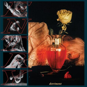 Entry - Detriment - lp