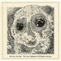 Maniaxxx - The Last Nightmare Of Captain Mission - lp