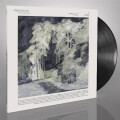 Constellatia - The Language of Limbs lp
