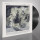 Constellatia - The Language of Limbs lp