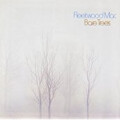 Fleetwood Mac - Bare Trees