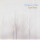 Fleetwood Mac - Bare Trees