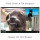 Frank Turner & Jon Snodgrass - Buddies II: Still Buddies col lp