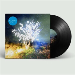 Notwist, The - Vertigo Days 2xlp