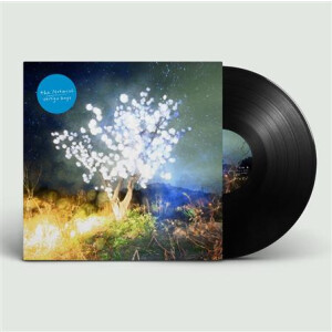 Notwist, The - Vertigo Days 2xlp