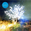 Notwist, The - Vertigo Days digi-cd