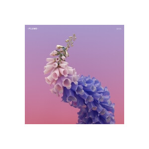 Flume - Skin
