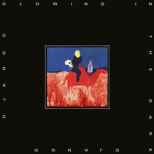 Django Django - Glowing in the Dark lp