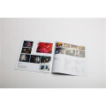 Oxes - The Fourth Wall - deluxe 2xlp