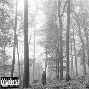 Taylor Swift - Folklore 2xlp