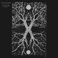 Shaam Larein - Sculpture lp