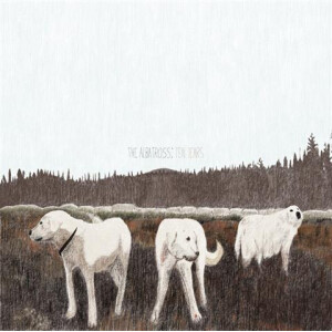 Foxing - The Albatross (10th Anniversary)