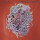 Chad VanGaalen - Worlds Most Stressed Out Gardener lp