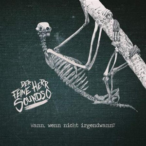 Der feine Herr Soundso - Wann, wenn nicht irgendwann? - col lp+cd