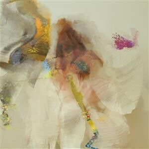 Flock of Dimes - Head of Roses cd