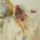 Flock of Dimes - Head of Roses cd