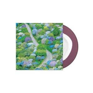 Fiddlehead - Between the Richness (w/purple) col lp