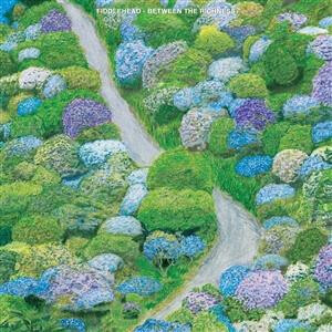 Fiddlehead - Between the Richness cd
