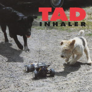 TAD - Inhaler - 180lp