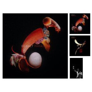 Gewalt - Paradies 2xlp + buch