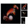 Gewalt - Paradies 2xlp + buch