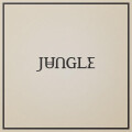 Jungle - Loving In Stereo cd