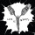 Nasti - Life Is Nasti - lp