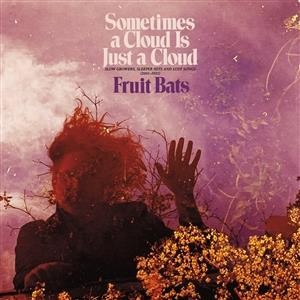 Fruit Bats - Sometimes A Cloud Is Just A Cloud - col 2xlp