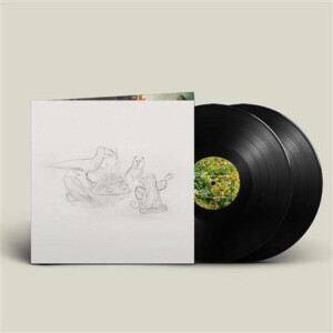 Big Thief - Dragon New Warm Mountain I Believe In You 2xlp
