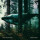 Green Desert Water - Black Harvest (marbled) col lp
