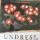Felice Brothers, The - Undress