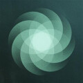 SOM - The Shape of Everything lp
