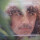 George Harrison -  s/t