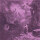 Devil Master - Ecstasies of Never Ending Night cd