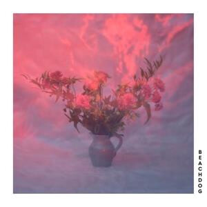 Beachdog - s/t
