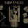 Bleakness - Life At A Standstill