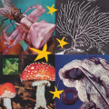 v/a - All Things Considered Vol.2
