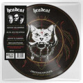 HeadCat - Dreamcatcher (Live At Viejas Casino) pic. lp