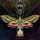 16 - Into Dust cd