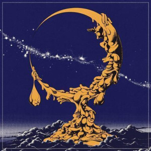 Pigs Pigs Pigs Pigs Pigs Pigs Pigs - Land of Sleeper (orange) col lp