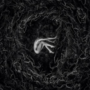 Fvnerals - Wounds